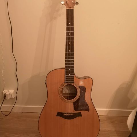 Taylor 310-CE