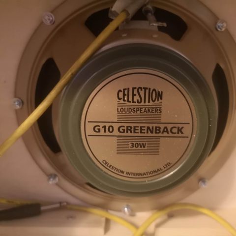 Celestion G10 Greenback (hjemmelaget kabinett)