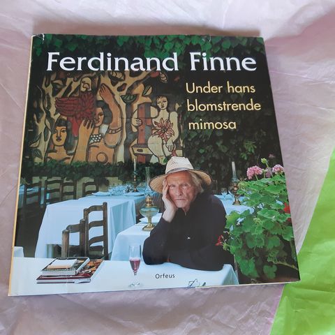 Ferdinand Finne: under hans blomstrende mimosa