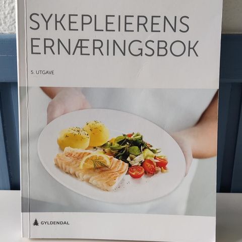 Sykepleiererensernæringsbok