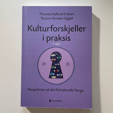 Kulturforskjeller i praksis (6. utg.)