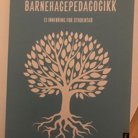 Barnehagepedagogikk