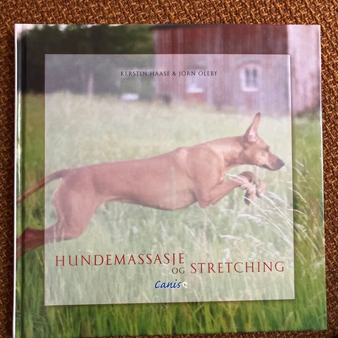 Hundemassasje og stretching