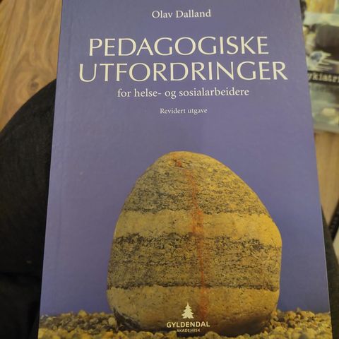 Pedagogiske utfordringer