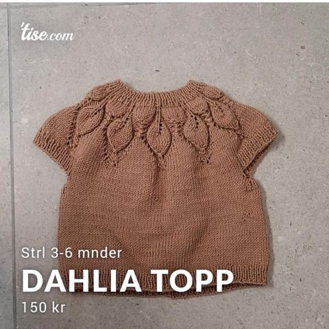 Dhalia topp