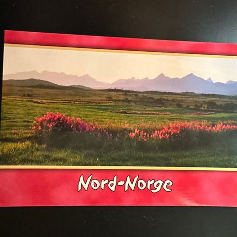 Nord- Norge, Geitrams ubrukt. (2318 E)