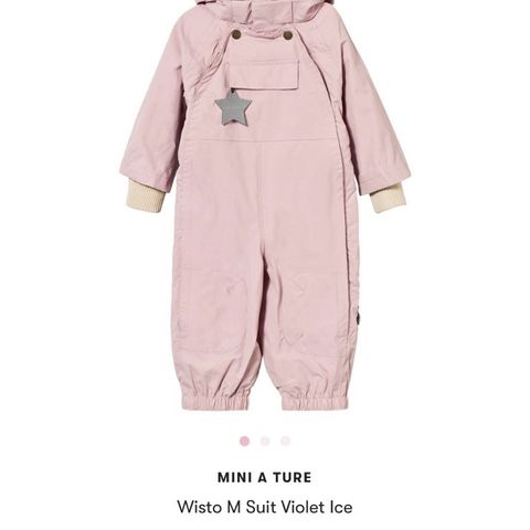 mini a ture wisto parkdress NY