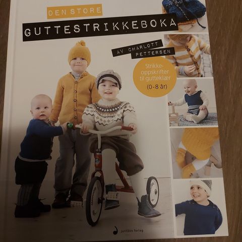 Den store guttestrikkeboka