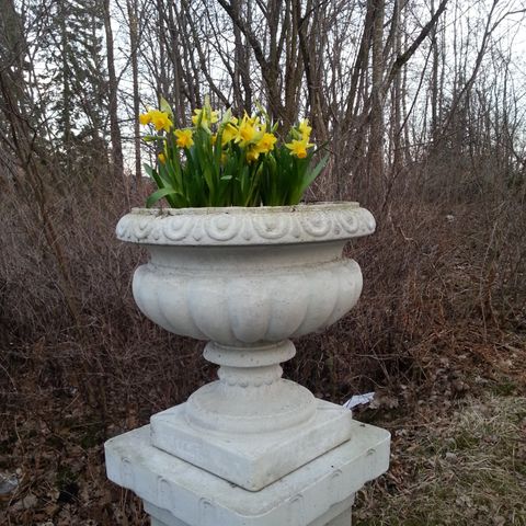 6 Stk flotte blomsterpotter i betong