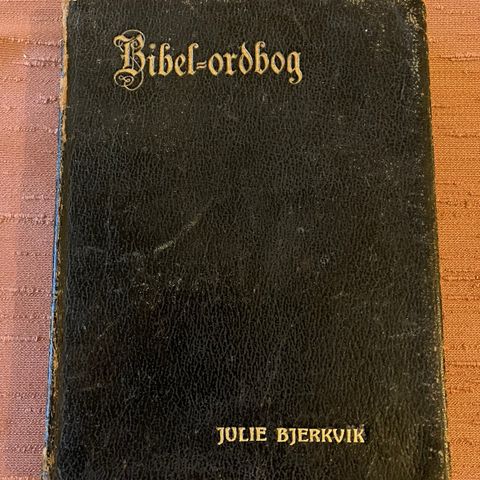 BIBEL ordbok gammelnorsk ord 1919 se bilder 800 KR ferdig prute