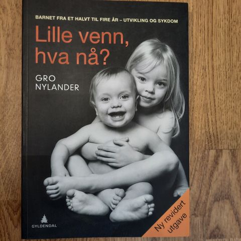 Bok: Lille venn, hva nå? Gro Nylander