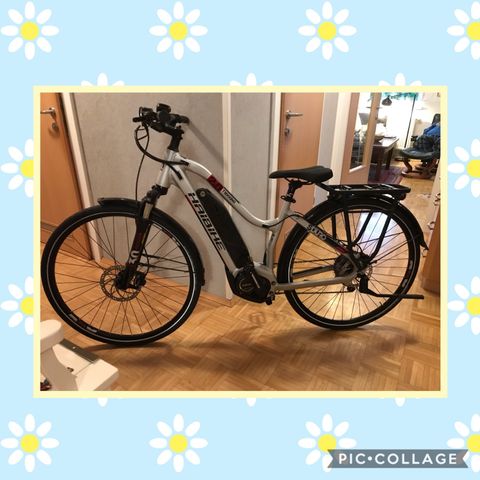 El sykkel Haibike Sduro Trekking 2.0 (Dame) S