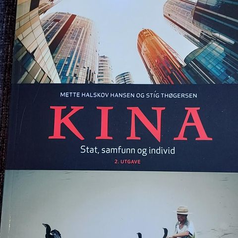 Kina - Stat,samfunn og individ