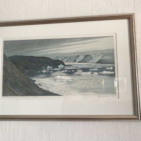 Omar Andren fra Svalbard