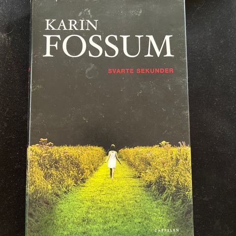 Krim - Karin Fossum