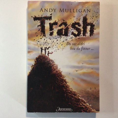 Bok - Trash av Andy Mulligan (Heftet)