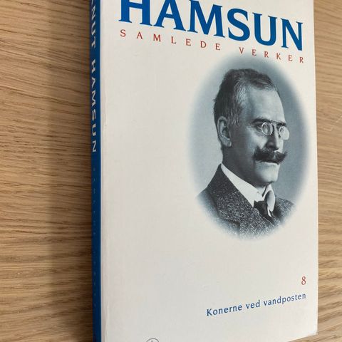 Knut Hamsun: Konene ved vannposten ULEST paperback