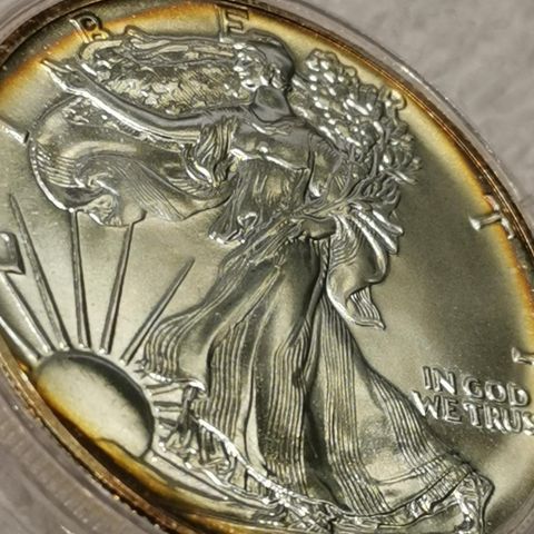 1989 USA Silver eagle ASE, 1 oz Sølv. 999