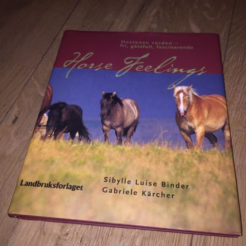 Som Ny. Halv pris. Hestenes Verden (Horse Feelings) - 2004, Binder, Kärcher