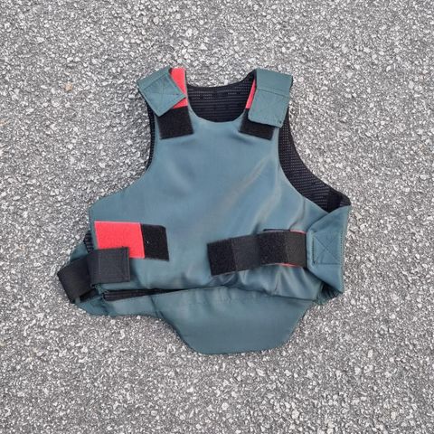 Ridevest