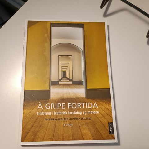 Å gripe fortida (2017)