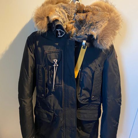 Parajumpers Kodiak XXS