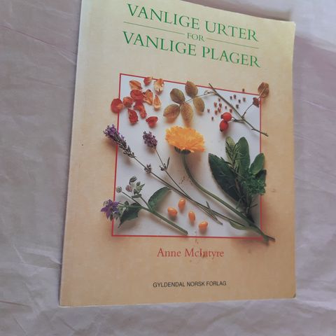 Vanlige urter for vanlige plager