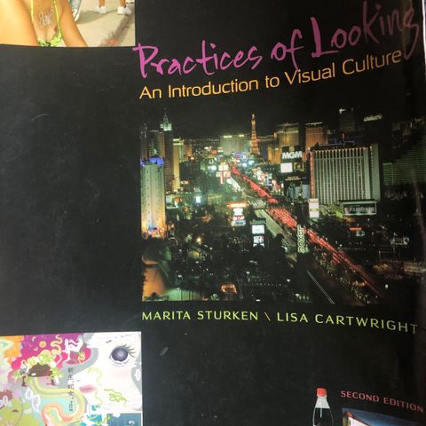 Practices of looking, an introduction to visual culture