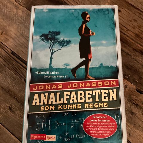 Analfabeten som kunne regne (innbundet)