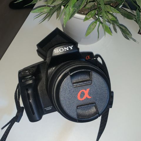 Sony Kamera a290