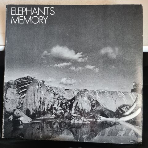 Elephants memory