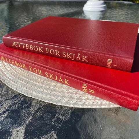 Ættebok for Sjåk.