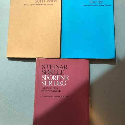 Steinar Sørlle  - diktsamlinger