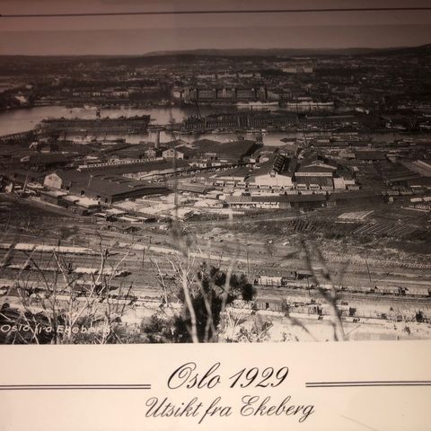 Oslo 1929 Utsikt fra Ekeberg. Beskåret av Fotograf A B Wilse. Norsk Folkemuseum.