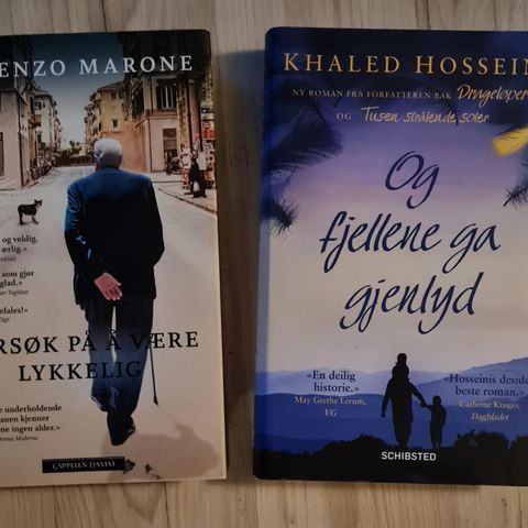 2 innbundne bøker av Khaled Hosseini og Lorenzo Marone