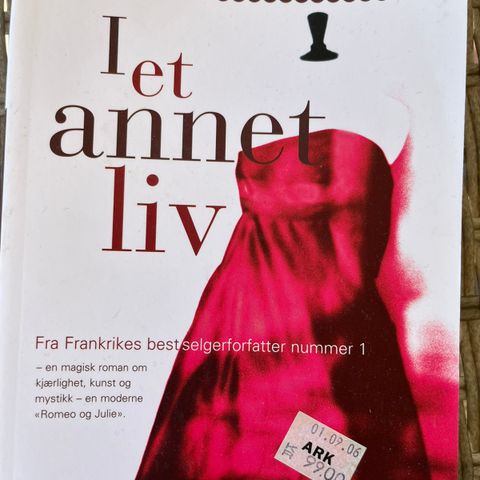 I et annet liv (av Marc Levy)