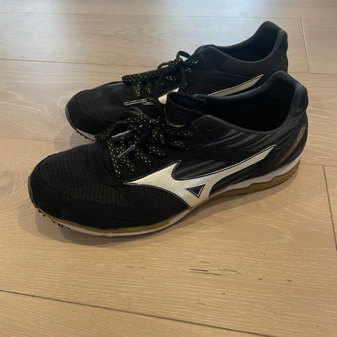 Mizuno Wave Ekiden