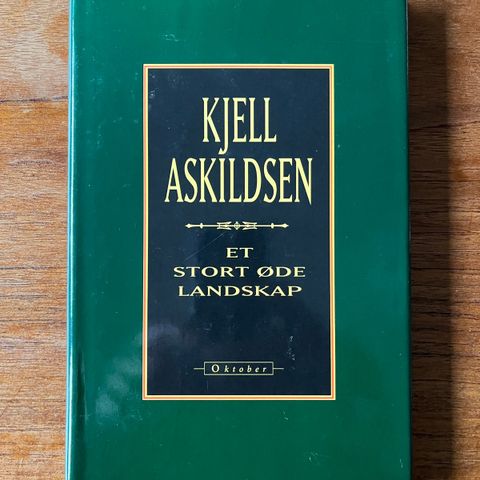 Kjell Askildsen - Et stort øde landskap