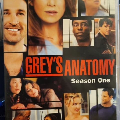 Grey's Anatomy sesong 1