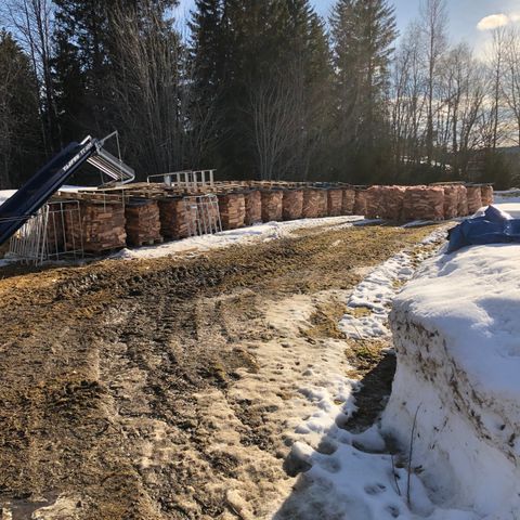 Bjørkeved fra Østerdalen. 1000 L gratis levering i nærområdet. Langhus