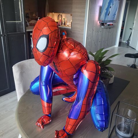 Spiderman ballong. Bursdagsfeiring ?