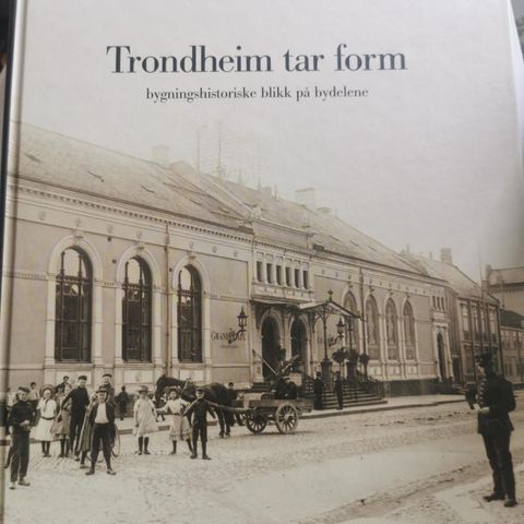 Trondheim Tar Form (Roy Åge Håpnes)