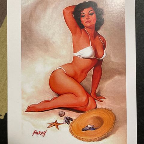 Faron - The Art of the Pin-Up Girl (Series 3) postkort