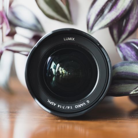 Panasonic Lumix 7-14mm f4