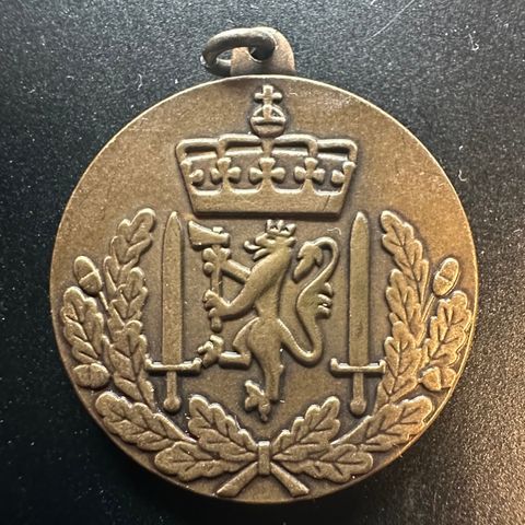 Hærens vernedyktighetsmedalje i Bronse (2381 Å)