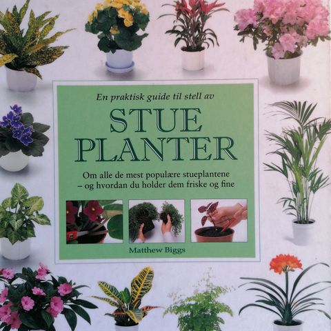 Matthew Biggs: En praktisk guide til stell av Stueplanter