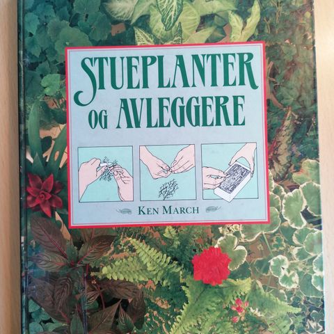 Ken March: Stueplanter og avleggere