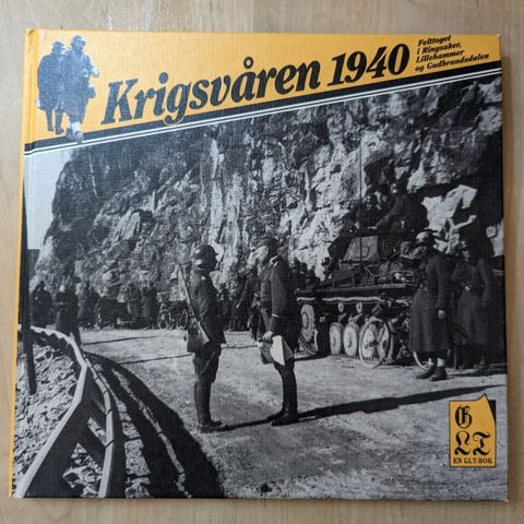 Krigsvåren 1940 : felttoget i Ringsaker, Lillehammer og Gudbrandsdalen