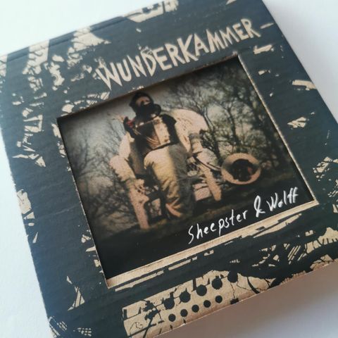 Wunderkammer - Today I Cannot Hear Music (CD)