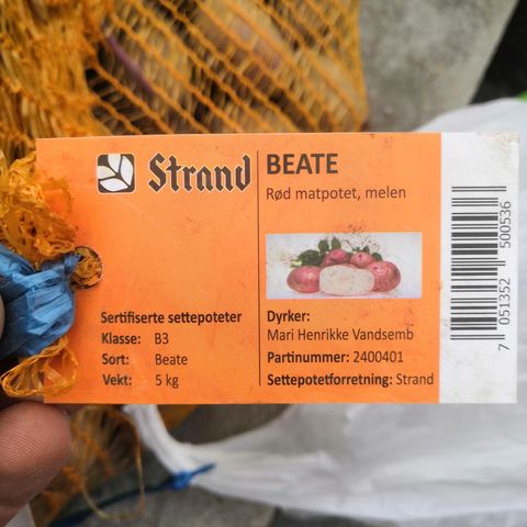 Annonsebilde